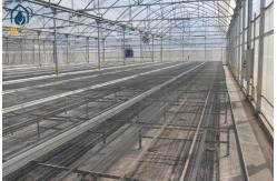 China Agriculture Wire Mesh Seed Bench Growing Tables Greenhouse Rolling Benches supplier