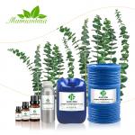 25kg Eucalyptus Essential Oil Bulk USDA Cosmetic Grade For Medicine for sale