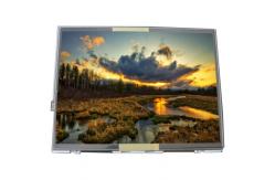 China For Laptop LTD104EDZS TFT LCD Display supplier