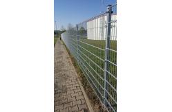 China Custom hot dip galvanized 656 868 twin welded wire panel fence supplier