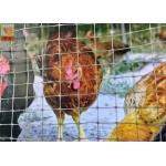 Polypropylene Plastic Poultry Netting, Garden Plastic Mesh Fencing, 30M Per Roll, Gray Color for sale