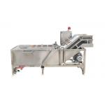 Fresh Mango Brush Roller 500kg/hour Vegetable Washing Machine for sale