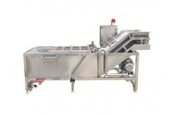 China Fresh Mango Brush Roller 500kg/hour Vegetable Washing Machine supplier