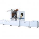 Energy Storage Lithium Pouch Battery Pack Production Line Turnkey Project with 8000 KG Capacity for sale