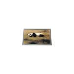 LQ133M1JW31 13.3 inch 16.7M 100%sRGB TFT LCD Screen FOR Laptop for sale