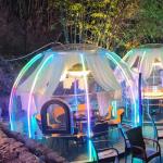 Versatile Dome Igloo Tent With Clear Design PC Dome House With Aluminium for sale