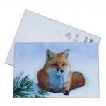 Lenticular Postcard Printing Toucan Wild Animals 3D Postcard for zoo pack sealifes
