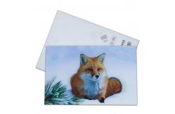China Lenticular Postcard Printing Toucan Wild Animals 3D Postcard for zoo pack sealifes supplier