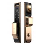 Champagne Gold Face Recognition Door Lock Intelligent For Office Hotel for sale