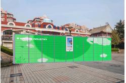 China Smart Outdoor Automatic Digital Sms Sending Dry Clean Locker supplier