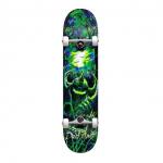 Darkstar Skateboards Woods Green / Blue Complete Skateboard First Push - 8.12 x 31.7 for sale