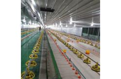 China Automatic Chicken Feeder System Broiler Poultry Equipment supplier