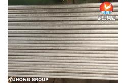 China ASTM A213 TP444 Seamless Heat Exchanger Tubes supplier