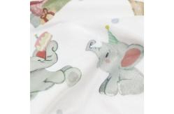 China Soft Custom Baby Blankets 100% Polyester Multifunctional Blanket For Unisex Boys Girls supplier