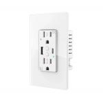 Plastic Tuya Wifi Smart Socket AC 100-240V With USB Type C for sale
