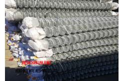 China Galvanized Garden Wire Mesh Chain Link Security Fence 50x50 Mm Size supplier