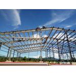 Quick Installed Large Span Warehouse Workshop Steel Structure Industrial Buildings for sale