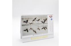 China 2019-2020 Desk Wall Calendar Beautiful Scenery Picture Design For Gift supplier