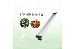 China 11.3W 110lm/W Dimmable Led Planting Lights IP44 For Flower Vegetables supplier