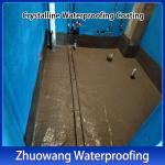 Type I Crystalline Coating Cementitious Waterproofing Coating Water Based For Nuclear Power Plants for sale