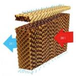Automatic Poultry House Equipment 3m/3pan 3m/4 Pan Chicken Coop Shed High Strength Wet Curtain for sale