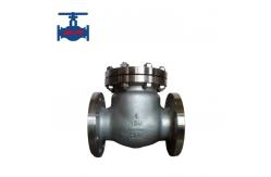 China Water Medium Direct Mount Swing Check Valve for Fluid Systems supplier