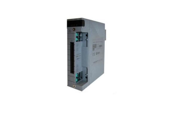 AAI841-H00 S1 YOKOGAWA Analog I/O Module