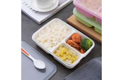 China Kids Reusable Plastic Lunch Containers , BPA Free Bento Lunch Box supplier