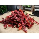 SHU10000 Xian Chilli Pungent Flavor Dried Red Chile Pods 10 PPB for sale