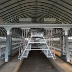 A Type Full Automatic Battery Chicken Cage Cold Galvanized For Farm for sale