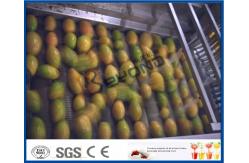 China Pineapple Mango Processing Line , Fruit Juice Mango Pulp Processing Plant supplier
