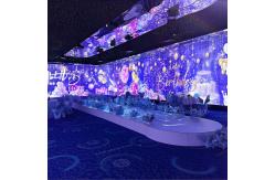 China Customized Outdoor Forest 3d Mapping Interactive Projector Immersive Visual Projection supplier
