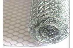 China 20 Gauge Galvanized Poultry Netting 1 inch Hexagonal Chicken Wire 4ft X 50ft supplier
