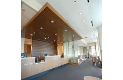 China Fireproof Access Aluminum Metal Hook On Ceiling 1500mm Width supplier