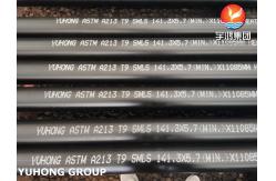 China ASME SA213 T9 Seamless Ferritic And Austenitic Alloy Steel Tubes For Caldera supplier