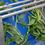 Stepless Shift Water Current Motivity Fruit And Vegetable Washing Machine Impurities Separation