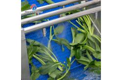 China Stepless Shift Water Current Motivity Fruit And Vegetable Washing Machine Impurities Separation supplier