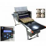 Automatic Egg Date Stamp Machine / Continuous Inkjet Printer For Food Industry for sale