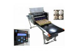 China Automatic Egg Date Stamp Machine / Continuous Inkjet Printer For Food Industry supplier