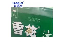 China 40W Films Materials CO2 Laser Expiry Date Coder With High Printing Speed supplier