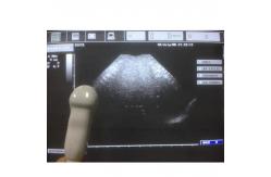 China  CA123 Convex Array Ultrasound Scan Probe for MyLab 25 Series supplier