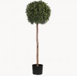 Eco Friendly Artificial Potted Floor Plants Boxwood Single Trunk for sale