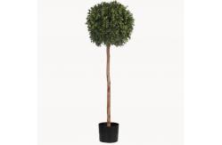 China Eco Friendly Artificial Potted Floor Plants Boxwood Single Trunk supplier