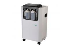 China 10l France Imported Molecular Sieve Ce Iso Medical Oxygen Generator supplier