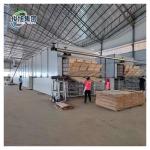 8000 KG Vertical Wood Panel Belt Conveyor Drying Equipment for Olive Wood Slices for sale