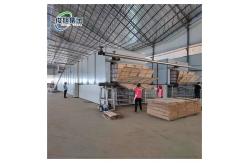 China Flexible Air Stone Cladding Veneer Sheets Panels Drying Machine For Drying supplier