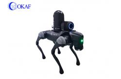 China Intelligence HD AI Camera Security Quadruped Robot Dog supplier