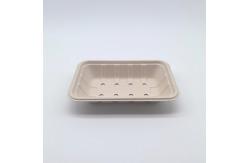 China Compostable Fruit Biodegradable Bagasse Tableware Food Container With Hole supplier