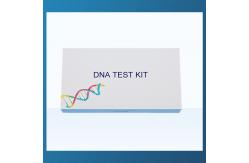 China HUACHENYANG DNA Collection Kit Flocked Nylon Tip Swab Kit Paternity Test Kit supplier