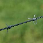 barbed wire security fence galvanized fence with barb wire blade barbed wire barbed wires galvanized plastic barbed wire farm fence barb wire barbed wire fence roll for sale